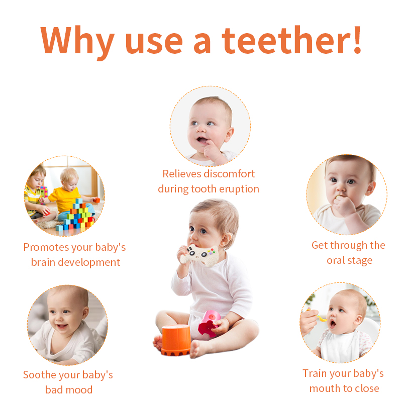 ของเล่นกัดซิลิโคนรูปทรงจอยเกมล - Baby Food Kitten บทวิจารณ์และราคา