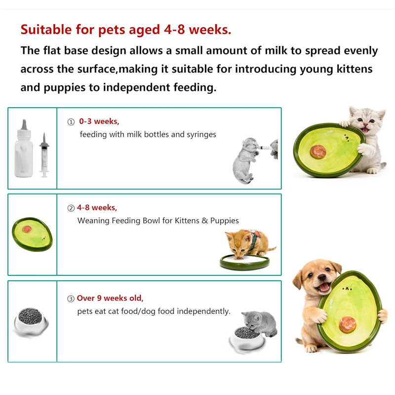 ชามเซรามิกสำหรับแมว ชามอาหารแล - Baby Food Kitten บทวิจารณ์และราคา